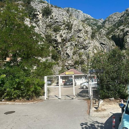 Kotor Old Town Palace Bucha Экстерьер фото